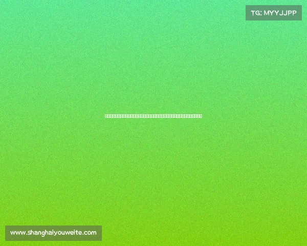 中国网球公开赛筹备工作全面启动，赛事组织与后勤保障同步升级，迎接全新赛季挑战